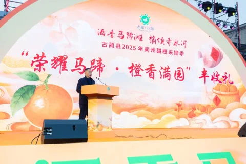 圆满“橙”功！2025年蔺州甜橙采摘季完美收官！