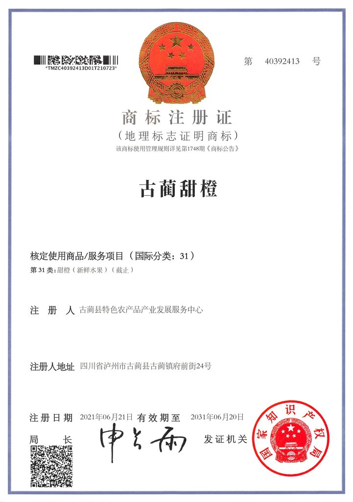 古蔺马蹄甜橙介绍