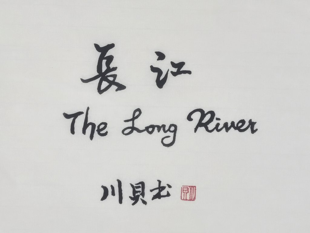 川贝个人书法网络展（一）