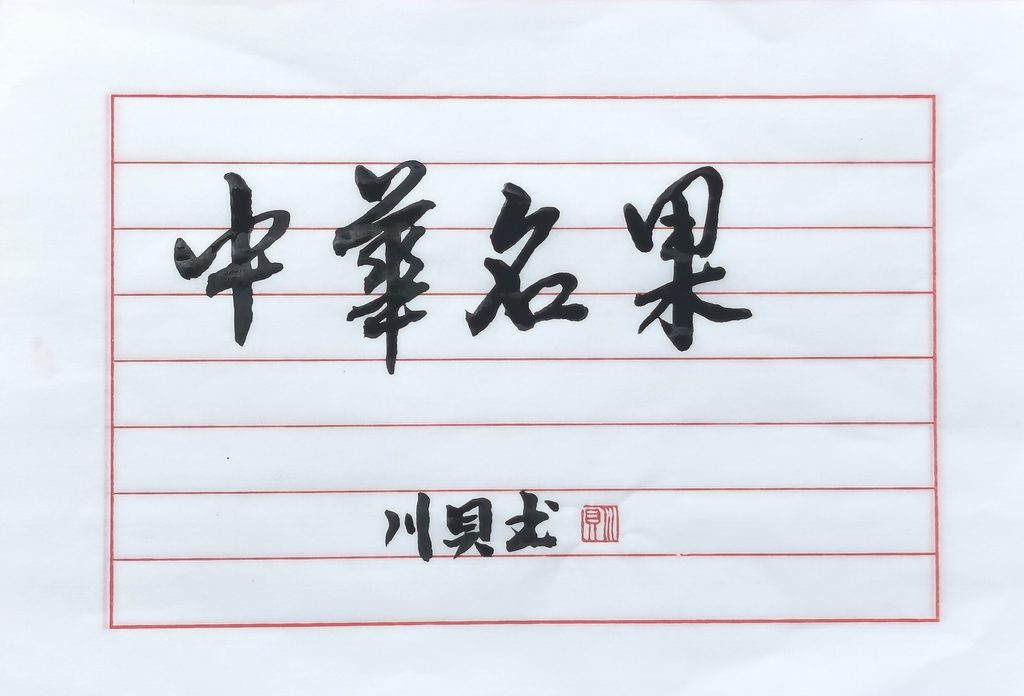 川贝个人书法网络展（一）