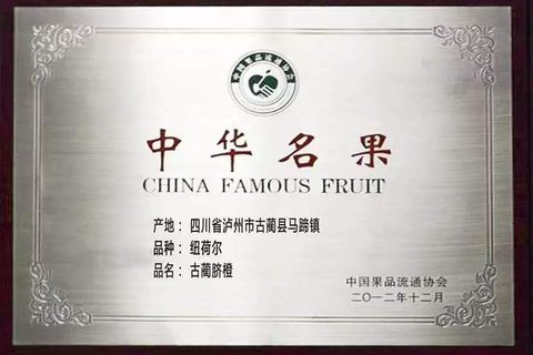 古蔺马蹄甜橙介绍