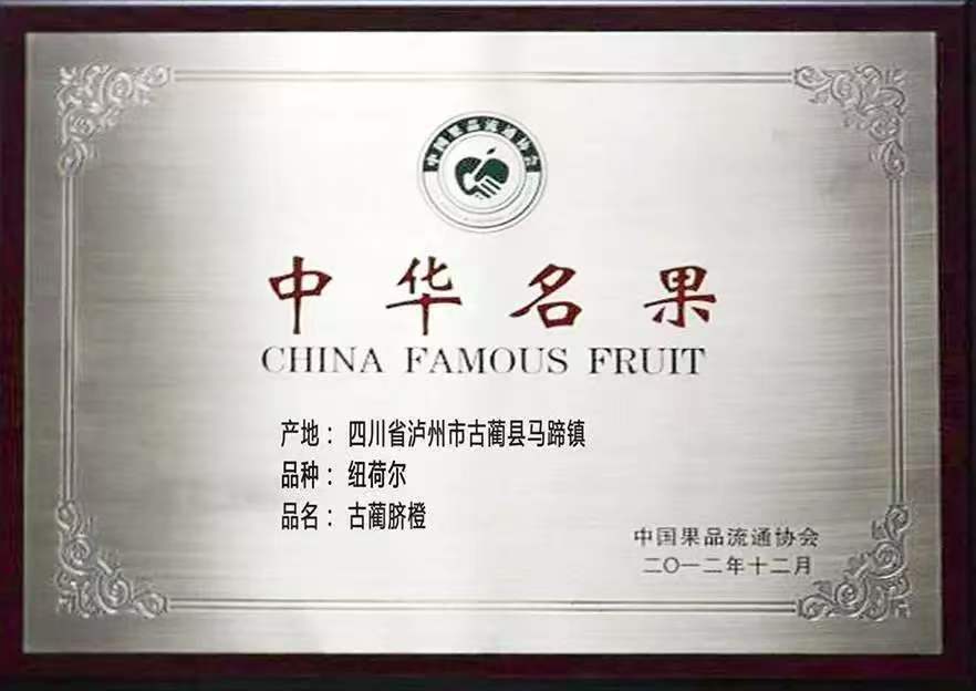 古蔺马蹄甜橙介绍